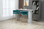 COOLMORE Bar Stools with Back and Footrest Counter Height Bar Chairs